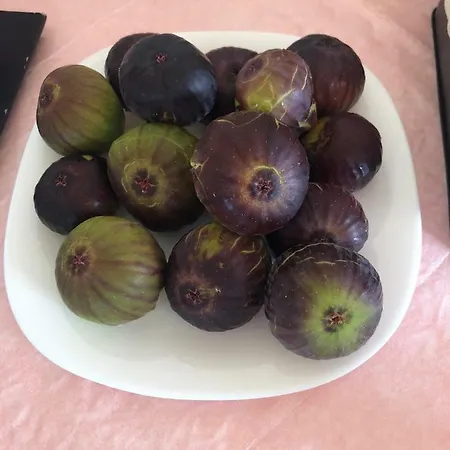 アパートホテル Podere San Luigi
