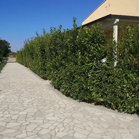 Podere San Luigi * 알리미니