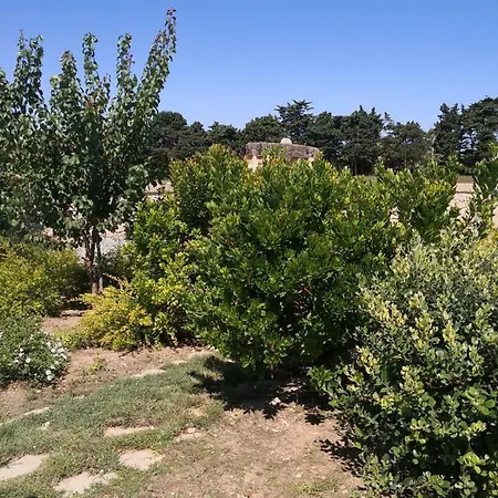 Podere San Luigi 알리미니