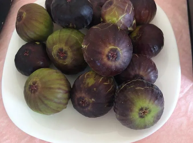 Aparthotel Podere San Luigi